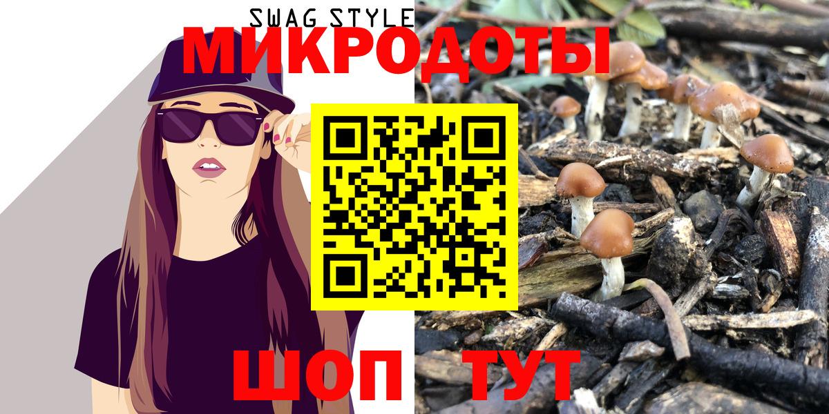 Елабуга  Псилоцибиновые грибы Psilocybine cubensis  Вход с VPN 